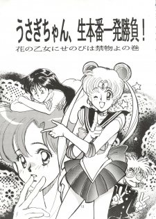 (C42) [Ringodou (Manda Ringo)] Usagi-chan Namahonban Ippatsu Shoubu (Bishoujo Senshi Sailor Moon) - page 12