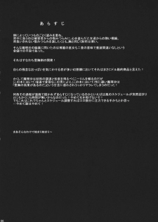 (C80) [Tsuji Andon] Harahara Marisa (Touhou Project) - page 4