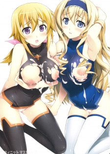 (C81) [Yan-Yam] Infinite Masquerade (Infinite Stratos) - page 3