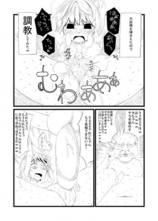 [Anda Inmu] 大妖精を捕まえたので調教してみた (Touhou Project)