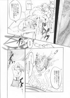 (C80) [Gin no Hoshitei] ANOTHER ZONE (Outerzone) - page 14