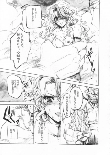 (C80) [Gin no Hoshitei] ANOTHER ZONE (Outerzone) - page 4