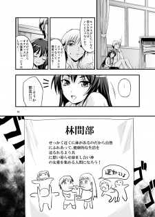 (C81) [D-heaven (Amanogami Dai)] Boku wa Sefure shika Inai (Boku wa Tomodachi ga Sukunai) - page 13