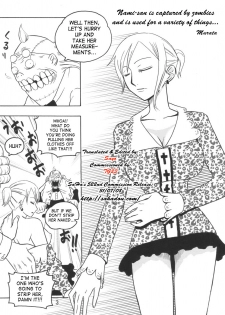 (C72) [ACID-HEAD (Murata.)] Nami no Ura Koukai Nisshi 3 | Nami's Hidden Sailing Diary 3 (One Piece) [English] [SaHa] [Decensored] - page 4