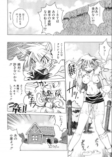 [Akihabara Chika Jakutoujou (Hamamura Toshikiri, Muramasa Mikado)] Pony Tale Fukkokuban [Digital] - page 36