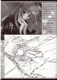 (C81) [IV VA SHIN (Mikuni Mizuki)] Home Sweet Home ~Fate hen 2~ (Mahou Shoujo Lyrical Nanoha) - page 33