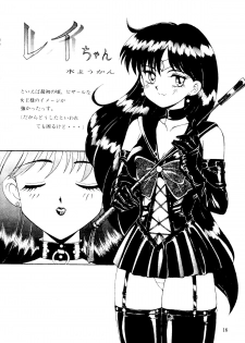 (C44) [Monkey Reppuutai (Various)] Sailor Moon Mate 03 REY (Bishoujo Senshi Sailor Moon) - page 15