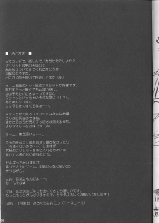 (C62) [HarthNir (Misakura Nankotsu)] Kumahime Soul (Guilty Gear XX) - page 24