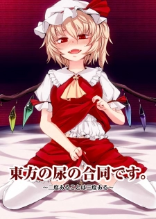 [Machikado-Mapoze (Various)] Touhou no Nyou no Goudou desu. ~Nido Aru Koto wa Sando Aru~ (Touhou Project) [Digital] - page 1