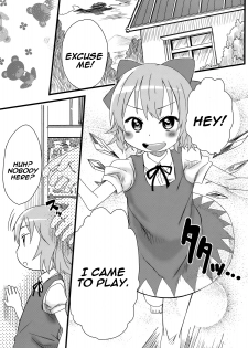 (C79) [Arekusa Thunder (Arekusa Mahone)] Hot custard (Touhou Project) [English] =TV= - page 4