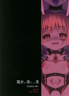 (COMIC1☆5) [Studio HP+ (IceLee)] Majo ni Ochishi Mono (Puella Magi Madoka Magica) - page 30