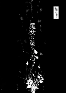 (COMIC1☆5) [Studio HP+ (IceLee)] Majo ni Ochishi Mono (Puella Magi Madoka Magica) - page 3