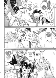 [Takakuya (Takaku Toshihiko)] Koristic Violence (Touhou Project) [English] - page 14
