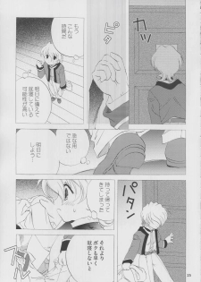 [LUNAFAIRYMIENA (Usagi)] Roman Tsukiyo (Sakura Taisen) - page 25