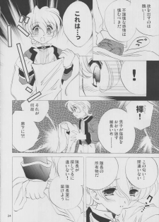 [LUNAFAIRYMIENA (Usagi)] Roman Tsukiyo (Sakura Taisen) - page 24