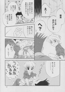 [LUNAFAIRYMIENA (Usagi)] Roman Tsukiyo (Sakura Taisen) - page 14
