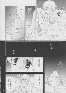 [LUNAFAIRYMIENA (Usagi)] Roman Tsukiyo (Sakura Taisen) - page 26