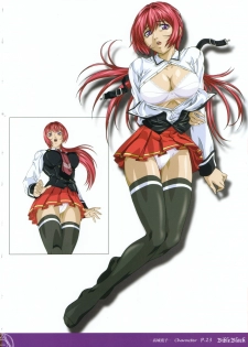 Bible Black Box Set (Artbook) - page 29