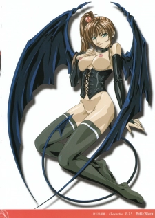 Bible Black Box Set (Artbook) - page 21