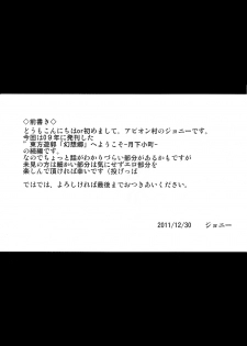 (C81) [Avion Village (Johnny)] Fuyu Kitarinaba Haru Tookaraji -Gekka Komachi- (Touhou Project) - page 3