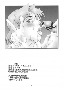 (C80) [PJ-1 (PJ-1)] Misato to Ritsuko Monzetsu Misoji Yuugi (Neon Genesis Evangelion) - page 29