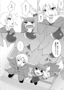 (Mimiket 18) [Cat Expert (Nekousa)] Wacchi Ecchi (Spice and Wolf) - page 5