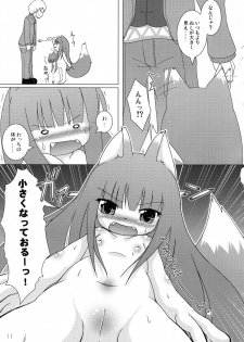 (Mimiket 18) [Cat Expert (Nekousa)] Wacchi Ecchi (Spice and Wolf) - page 10