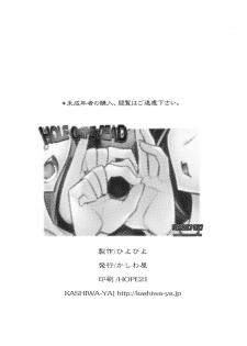[Kashiwa-ya (Hiyohiyo)] HOLE OF THE DEAD (Highschool of the Dead) - page 18