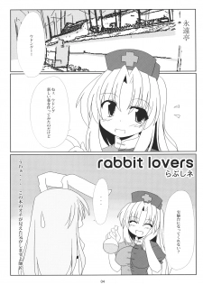 (サンクリ37) [らぶしネ] rabbit lovers (東方 エロ) - page 3