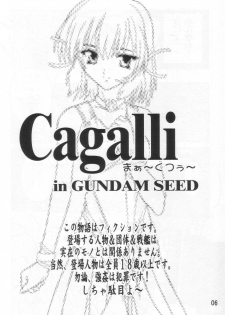 (SC21) [Studio Q (Natsuka Q-Ya)] Cagalli Mark 2 (Mobile Suit Gundam SEED) - page 5