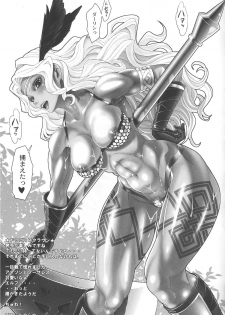 (C80) [Toluene Ittokan (Pierre Norano, Shinagawa Ham)] Ketsu! Megaton DC (Dragon's Crown) - page 25