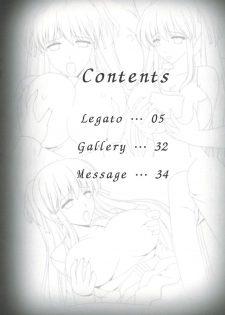 (C74) [SIMPLE HOUSE (Kafu)] Legato (Mabinogi) - page 3