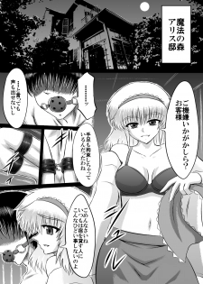 [白川　知憲] 大魔女アリス＝マーガトロイドの専属オナホ - page 2