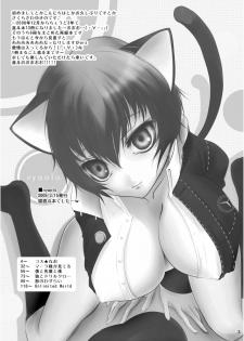 (C81) [Yukinohana (Sakurasawa Yukino)] Naoto no Hon - Soushuuhen - (Persona 4) [Digital] - page 3