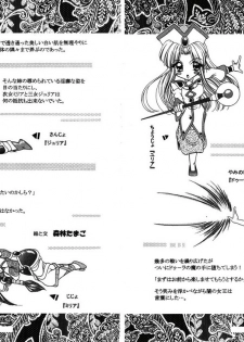 [WHITE ELEPHANT] 魔導の王国・淫辱の罠に堕ちる美姫 SIDE：B - page 29