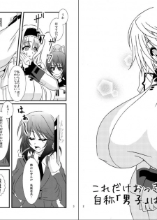 (C80) [elflite (Akira Agata)] Kore dake okkina oppai de jisho danshi wa murigaru! ? (IS <Infinite Stratos>) - page 3
