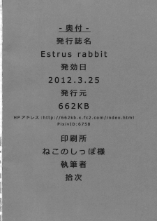 (Touhou Kenbunroku Owari no Maki 5) [662KB (Juuji)] Estrus rabbit (Touhou Project) - page 18