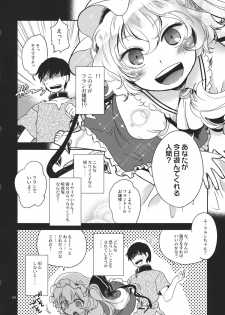 (Aka no Hiroba 7) [Sonota Oozei] Kyoukasho dewa Oshietekurenai!! (Touhou Project) - page 4