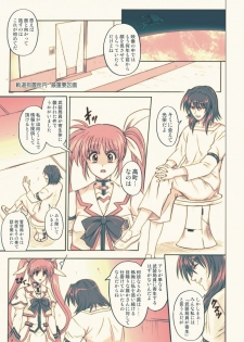 [Cyclone (Reizei, Izumi)] 850 - Color Classic Situation Note Extention (Mahou Shoujo Lyrical Nanoha) [Digital] - page 16