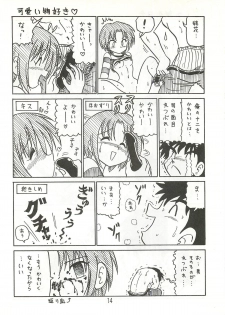 [Niitakayama Tozantai (Niiyama Takashi)] Mazi☆an hourouki - page 13