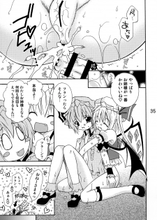 [Mariana Kaikou Kikaku (Mikami Hokuto)] Flan-chan no Koumakyou (Touhou Project) [Digital] - page 34