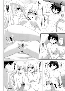 (C81) [CROSS-DO (Masakichi)] 1+1+1=∞ (Infinite Stratos) - page 23