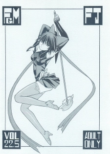 [From Japan (Aki Kyouma)] FIGHTERS GIGAMIX Vol.22.5 (Mahou Shoujo Ai) - page 28