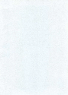 [From Japan (Aki Kyouma)] FIGHTERS GIGAMIX Vol.22.5 (Mahou Shoujo Ai) - page 2