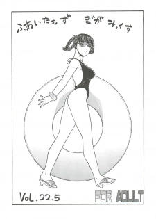 [From Japan (Aki Kyouma)] FIGHTERS GIGAMIX Vol.22.5 (Mahou Shoujo Ai) - page 3