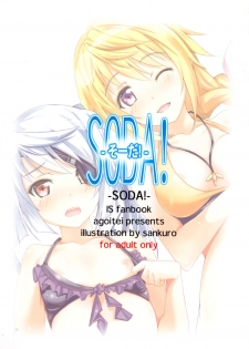 (C80) [AGOITEI (Sankuro)] SODA! (Infinite Stratos) - page 26