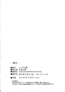 (COMIC1☆6) [Leaz Koubou (Ouja no Kaze)] Endless Hero's Dream Junbigou (Wingman) - page 18