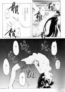 (C50) [INKPOT (Oyari Ashito)] KINPEIBAI 4 (Samurai Spirits) - page 17