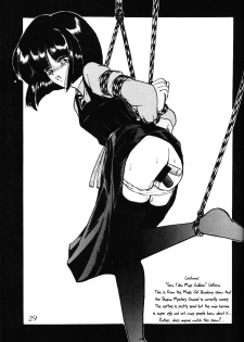 (C66) [Thirty Saver Street 2D Shooting (Maki Hideto, Sawara Kazumitsu)] Silent Saturn SS vol. 7 (Sailor Moon) [English] [EHCOVE] - page 29