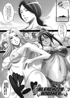 (C81) [Diogenes Club (Haikawa Hemlen)] BRICOLA Soushuuhen (BLEACH) [Digital] - page 47